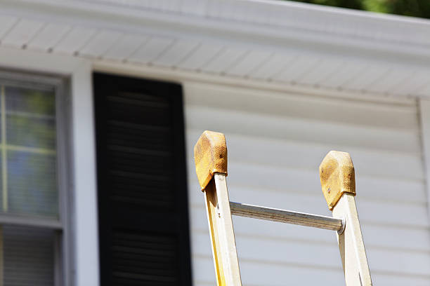 Best Steel Siding Installation  in Mount Repose, OH